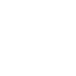 ce logo College Station