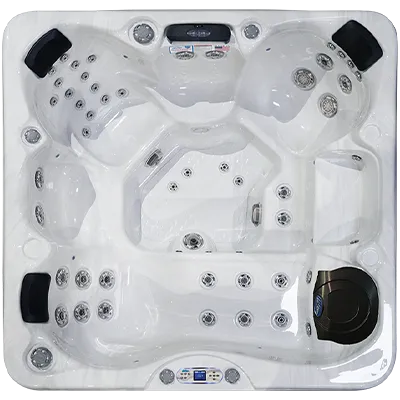 Avalon EC-849L hot tubs for sale in College Station